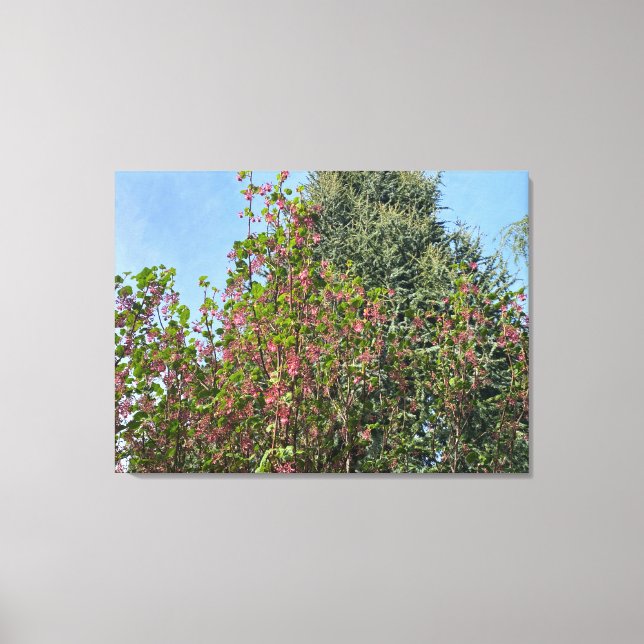Toile Une Californie en fleurs : Currant rose (Recto)