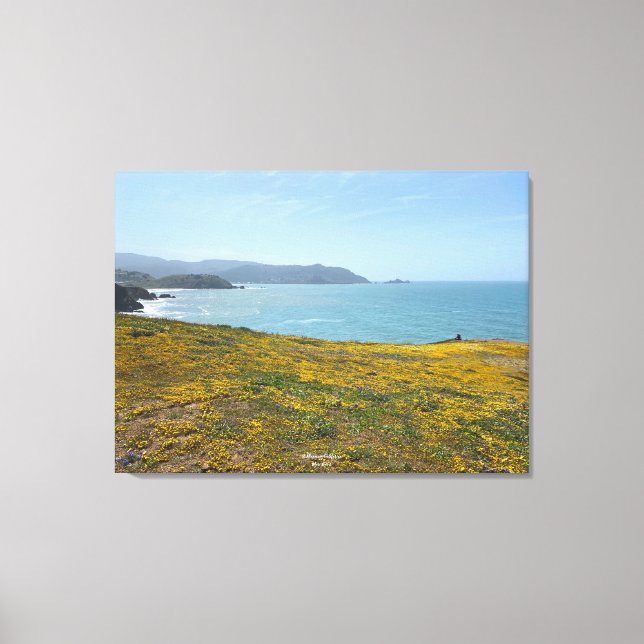 Toile Une Californie florissante : Mori Point (Recto)