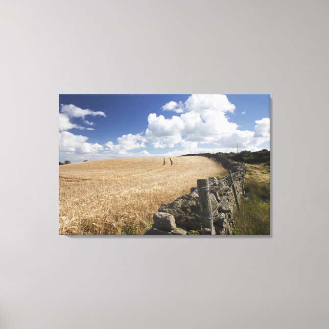 Toile Une Clôture En Fil Barbelé Construite Le Long D'Un (Recto)