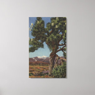 Toile Une paume de Joshua en fleur dans le désert