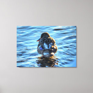 Toile Une photo de la faune d'hiver de Mallard