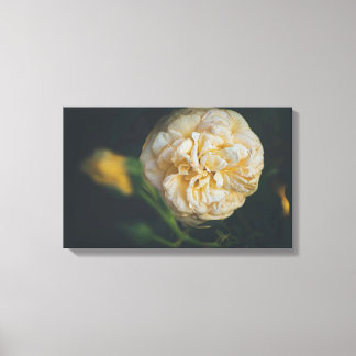 Toile Une rose jaune