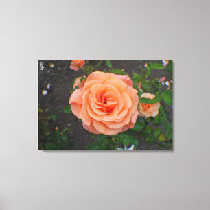 Toile Une seule fleur d'orange