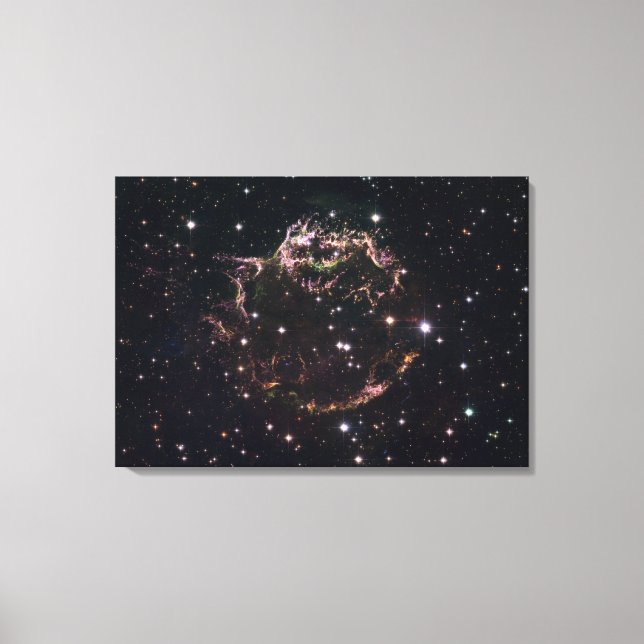 Toile Une vue détaillée des restes en lambeaux (Recto)