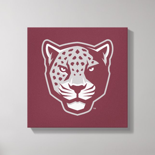 Toile Université Texas A&M de San Antonio | Jaguars (Recto)