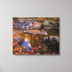 Toile Upper Whiteoak Falls, Parc national de Shenandoah,