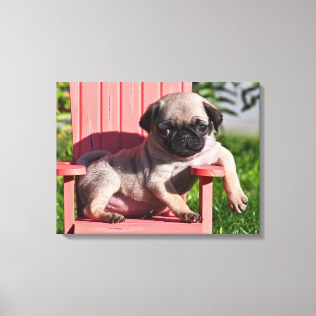 Toile USA, Californie. Carlin Puppy Slouching (Recto)