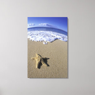 Toile USA, Hawaii, Maui, Makena Beach, Starfish et
