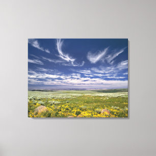 Toile USA, Oregon, Steens Mountain. Chirurgie