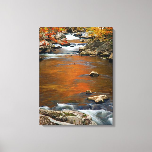 Toile USA, Tennessee. Ruisseau Mountain 4 (Recto)