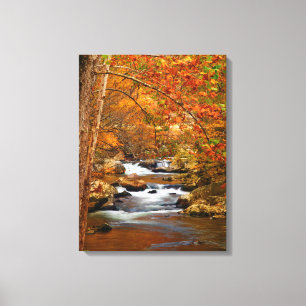 Toile USA, Tennessee. Ruisseau Rushing Mountain
