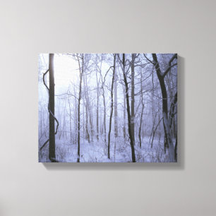 Toile USA, Virginie, Richard Thompson Wildlife Area.
