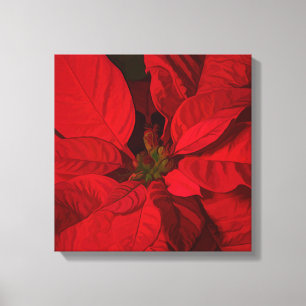 Toile Vacances de Noël Rouge Poinsettia