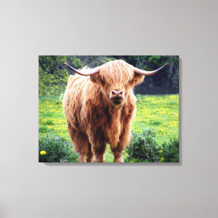 Toile Vache avec le beau paysage de nature de grands
