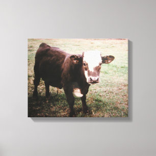 Toile Vache crème brune