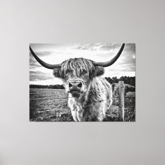 Toile Vache noire et blanche des Highlands