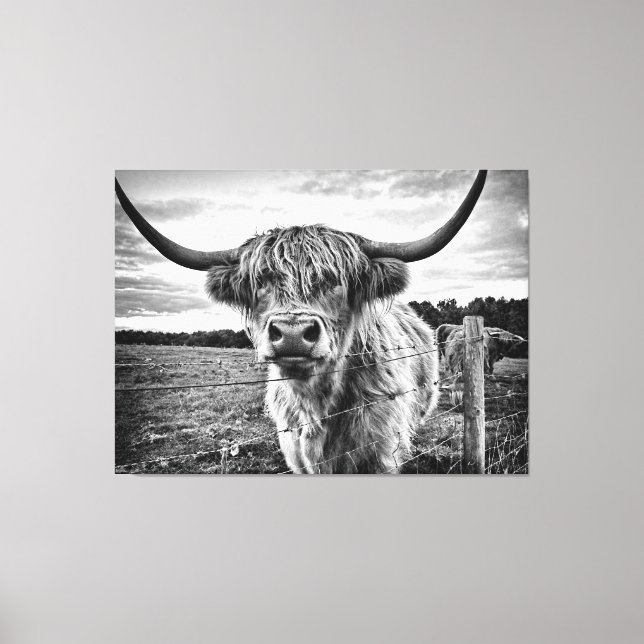 Toile Vache noire et blanche des Highlands (Recto)