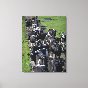 Toile Vaches laitières attendant la traite