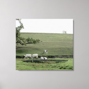 Toile Vaches près d'un pont Photographie décoration mura