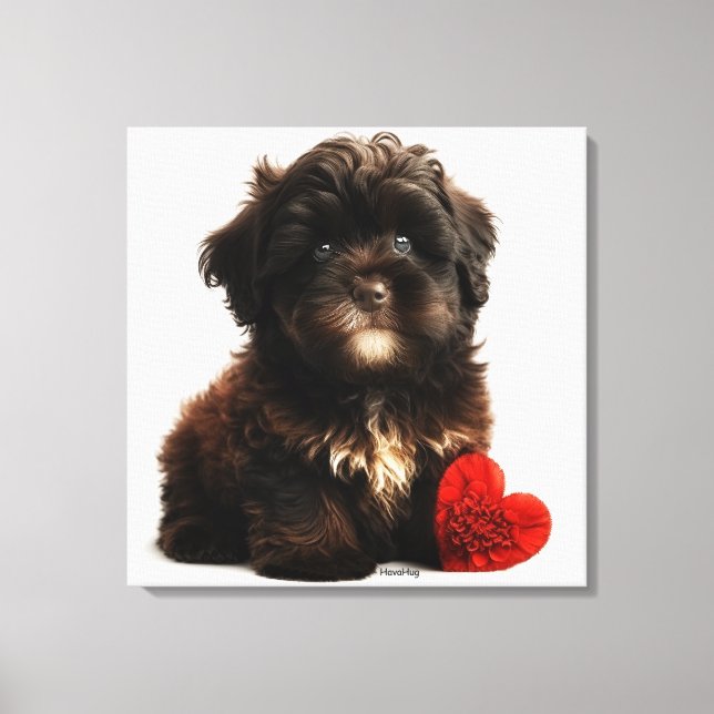 Toile Valentine la plus fine, Chiot Havanais au chocolat (Recto)