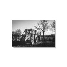 Valet au repos noir et blanc