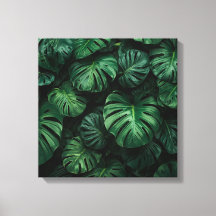Végétation luxuriante - Monstera Abstraite Jungle
