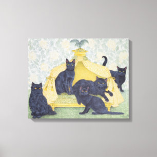 Toile Velours noir