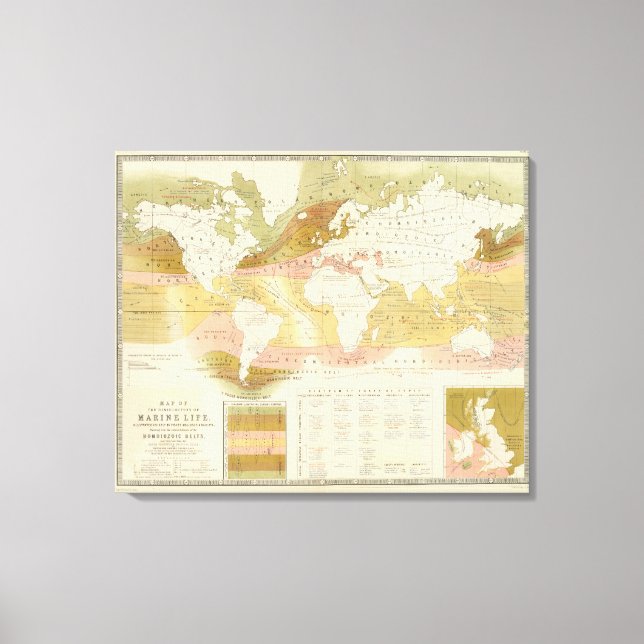 Toile Vie marine (Recto)