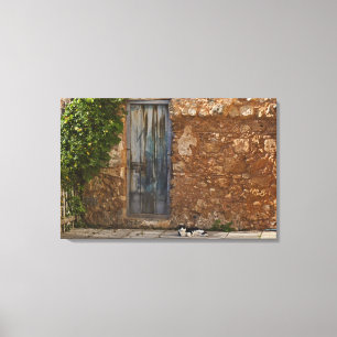 Toile Vieille porte et chat de repos