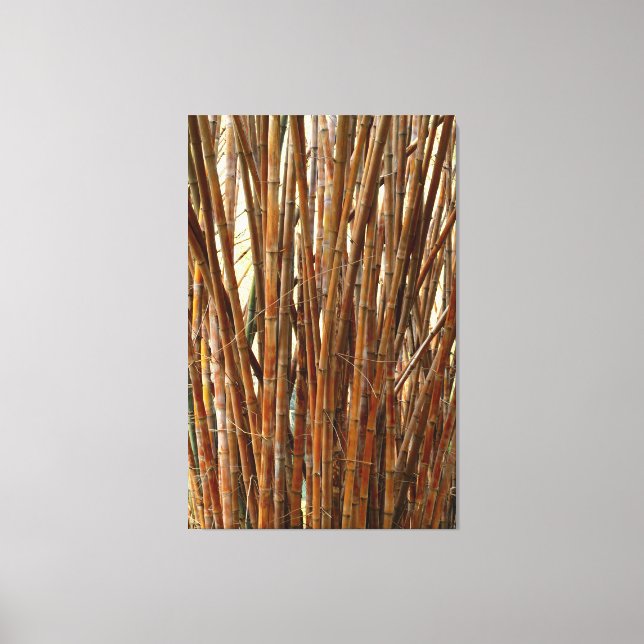 Toile Vieux Bambou (Recto)