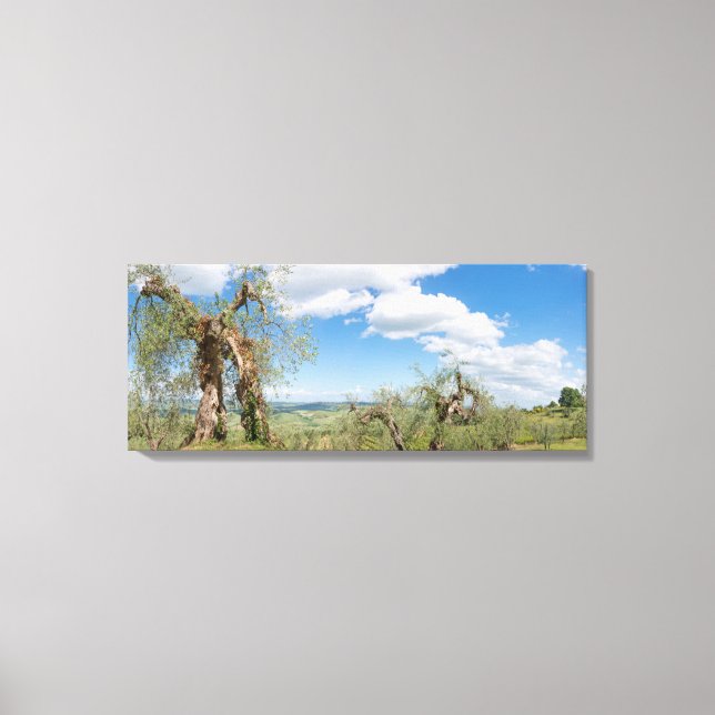 Toile Vieux oliviers dans un paysage toscan (Recto)