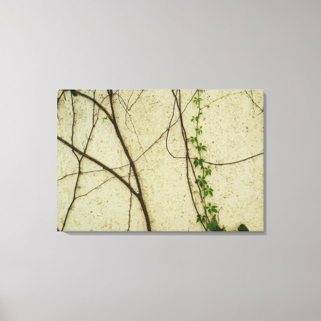 Toile Vignes naturelles (Recto)