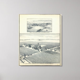 Toile Vignoble de Blanca d'Estella, la Californie