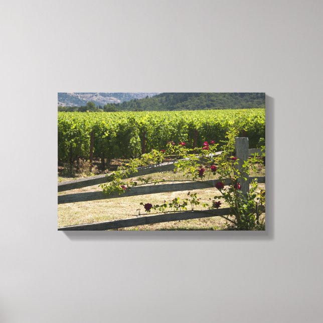 Toile Vignoble rustique et clôture Rose (Recto)