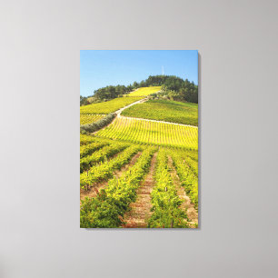 Toile Vignoble, Stellenbosch, Cap-Occidental