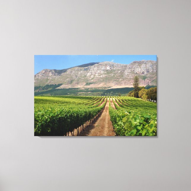 Toile Vignobles De Groot Constantia (Recto)