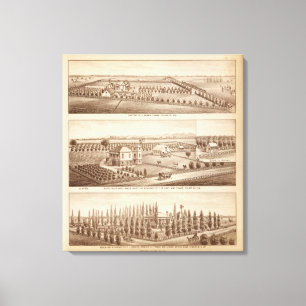 Toile Vignobles, ranchs, Tulare Co, Calif