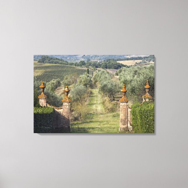 Toile Vignobles, Toscane, Italie (Recto)