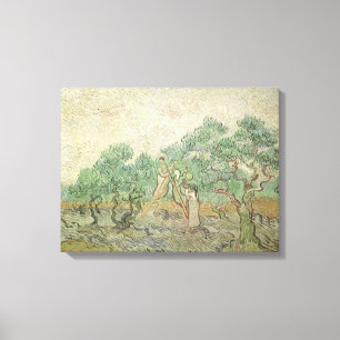 Toile Vincent van Gogh - cueillette d'olives
