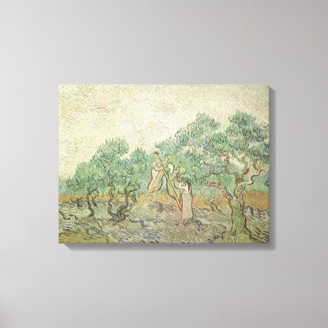 Toile Vincent van Gogh - cueillette d'olives (Recto)