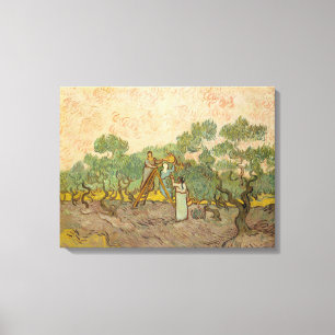 Toile Vincent van Gogh - Femmes cueillant des olives