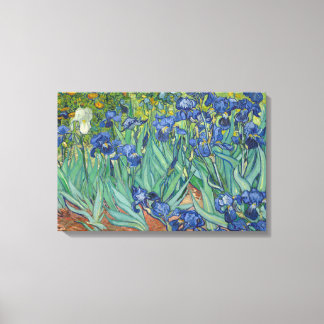 Toile Vincent van Gogh - Irises