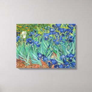 Toile Vincent Van Gogh - Irises