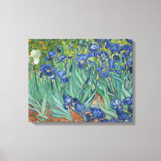 Toile Vincent van Gogh - Irises