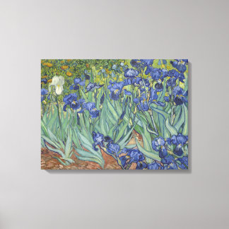 Toile Vincent Van Gogh Irises