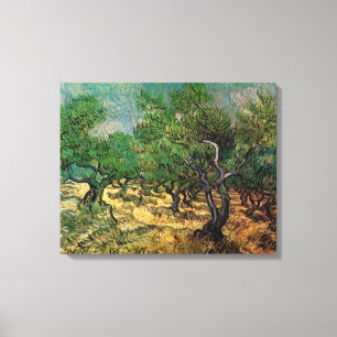 Toile Vincent van Gogh - Olive Grove