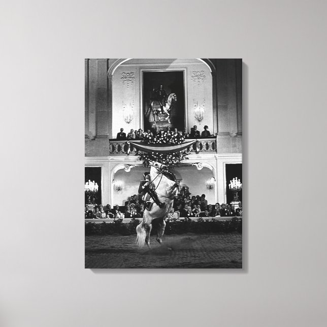 Toile Vintage Autriche Vienne Courbette espagnole (Recto)