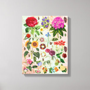 Toile Vintage Botanical Flower illustrations Nature art