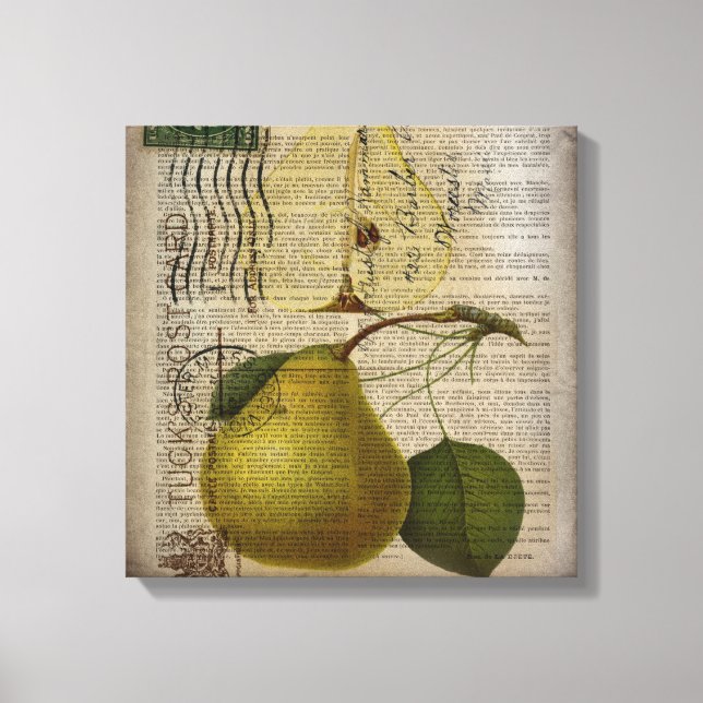 Toile vintage moderne Botanique Imprimer poire de fruit (Recto)