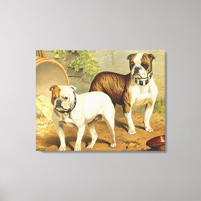 Toile Vintage painting of English Bulldogs (Recto)